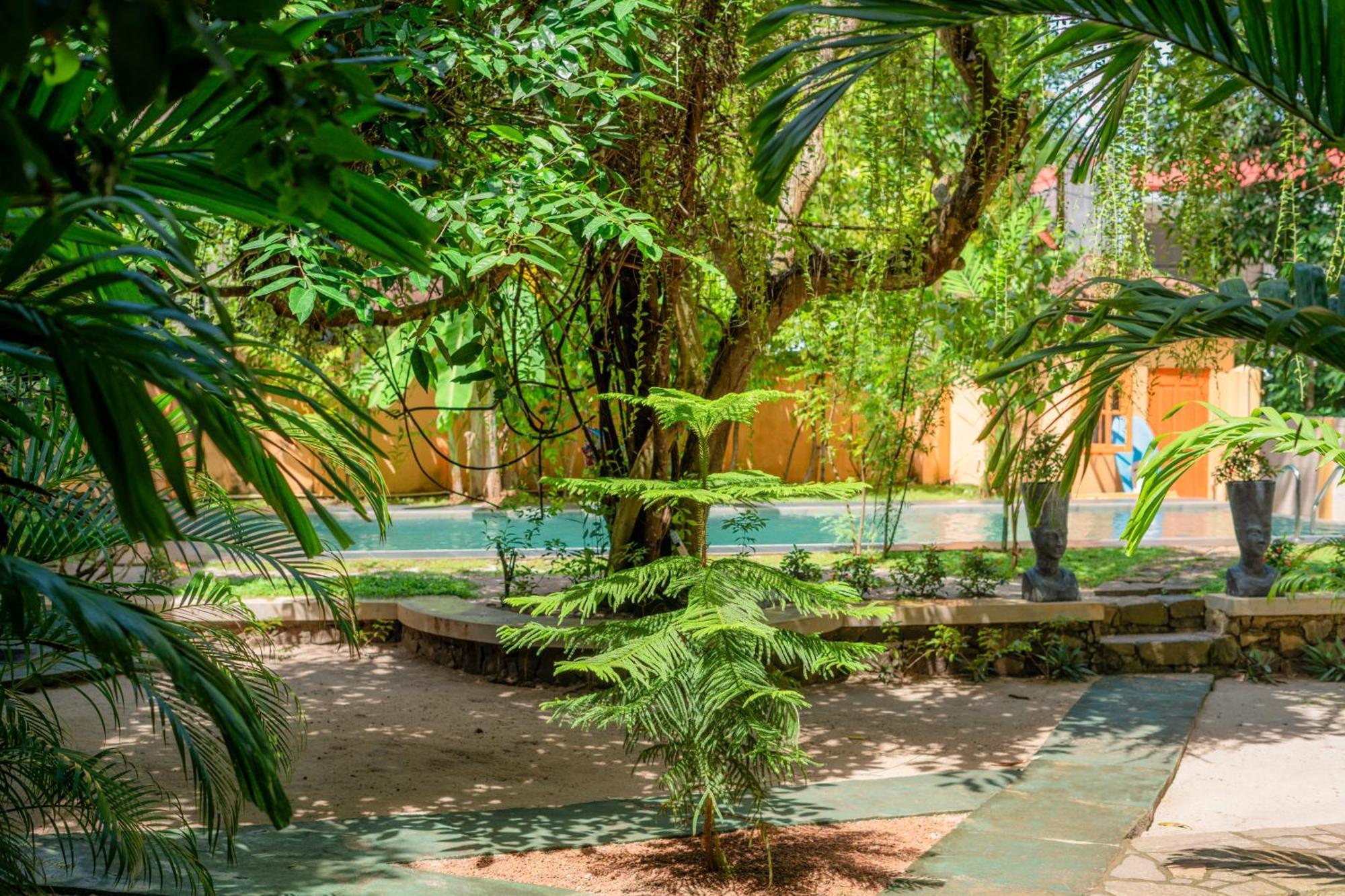 Monkey Villa Hikkaduwa Exterior photo